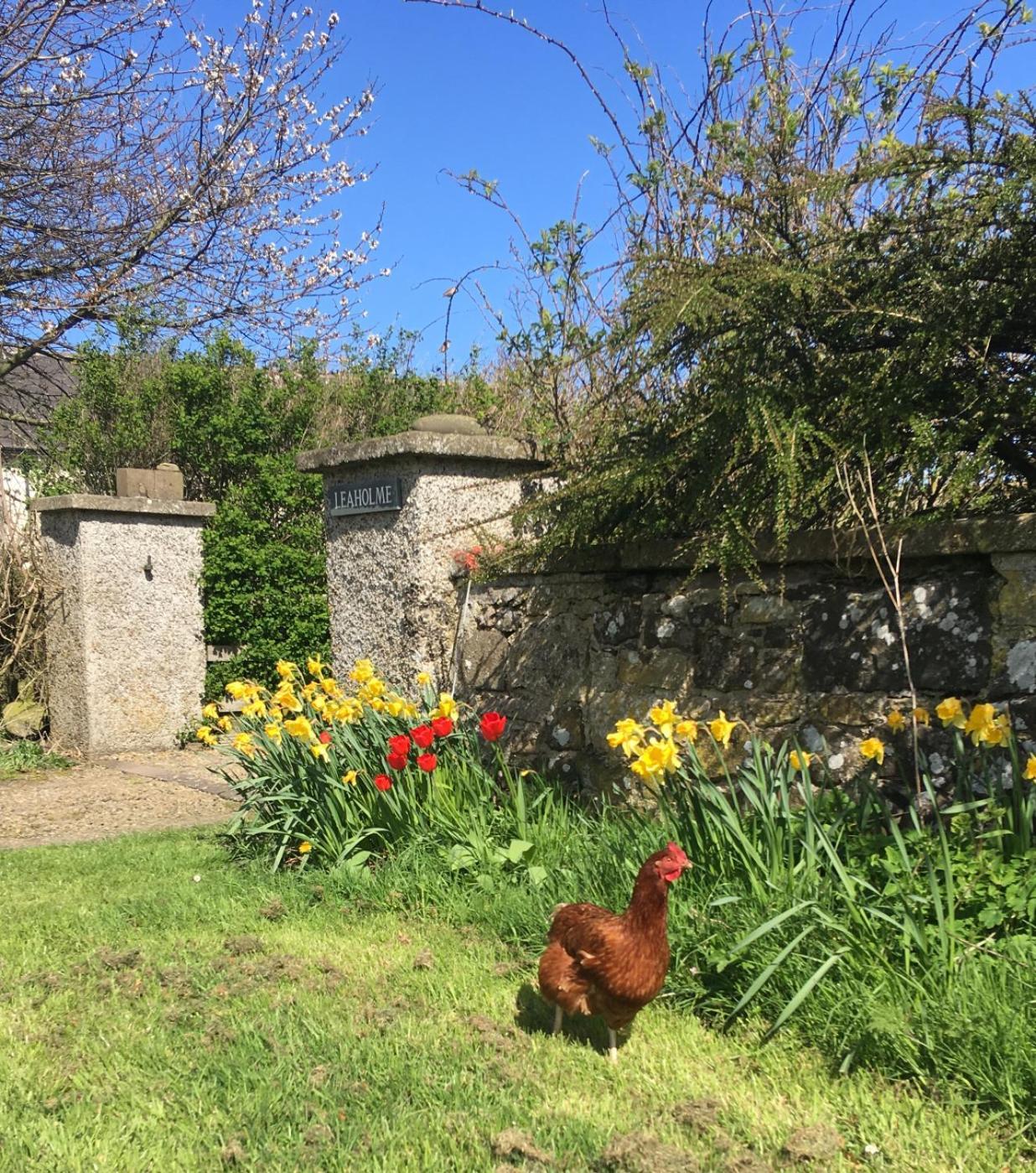Leaholme Cottage - Fabulous Coastal Cottage For 8 Newton by the Sea Exterior photo
